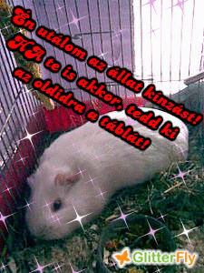 vuz6hkmn6d.gif